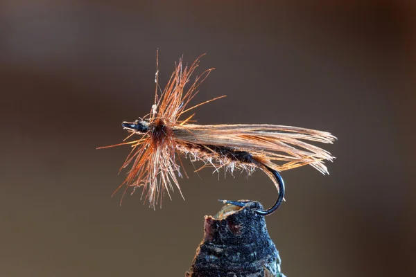 Brązowy fly fishing nęcenie — Zdjęcie stockowe