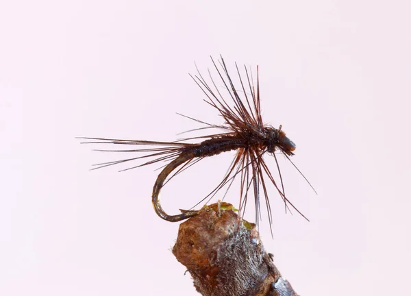 Czarny drobny fly fishing nęcenie — Zdjęcie stockowe