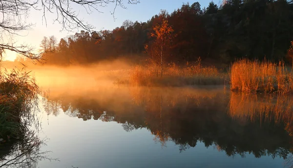Mattina luce sul lago una mattina nebbiosa — Foto Stock