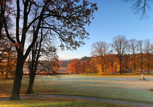 First morning light in the park in October — Stock Photo, Image