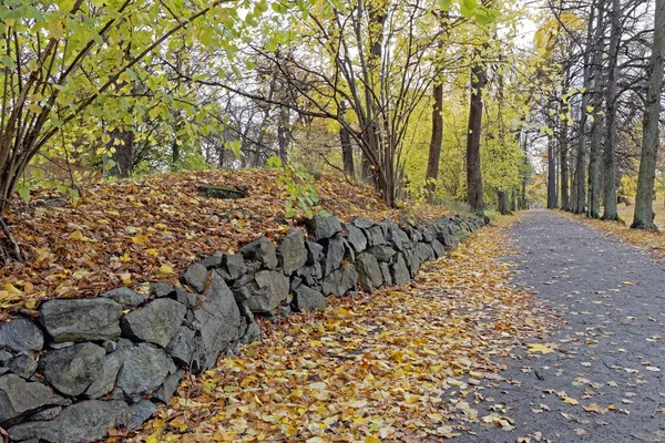 Stone wall in the park — Stock Photo, Image