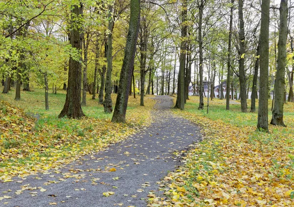 Path and leafes in the park — Stock Photo, Image