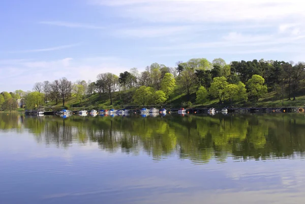 Árvores e lago início da primavera — Fotografia de Stock