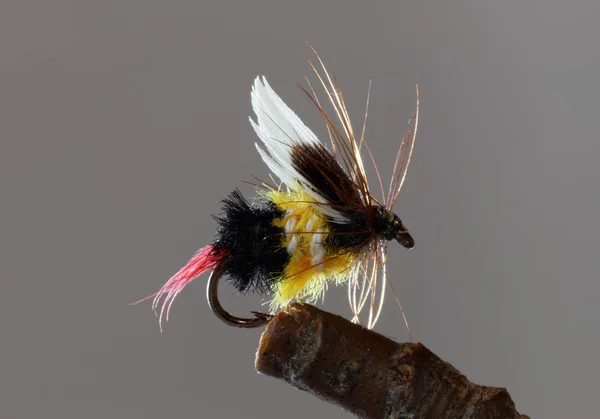 Bumble bee fly połowów imition — Zdjęcie stockowe