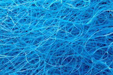 Mavi net tatlı olta