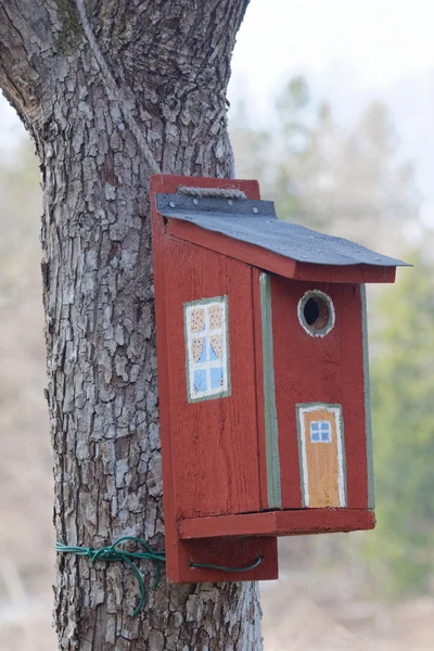 Casa pájaro pintado — Foto de Stock
