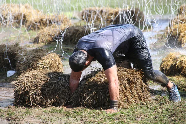 Мускулистый мужчина ползает по стоге сена — стоковое фото