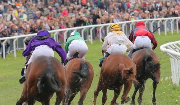 Rear view of the race horses in a curve — Stock Photo, Image
