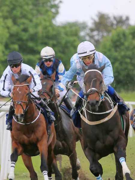 Tres jinetes en caballos de carreras —  Fotos de Stock