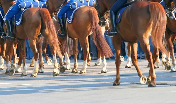 Os guardas reais em vestidos azuis no cavalo de volta — Fotografia de Stock