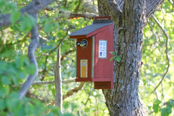 Great tit and painted bird house — 图库照片