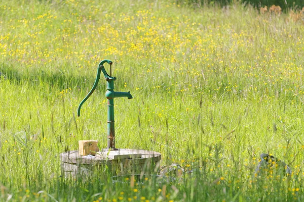 Green waterpump in meadow full of yellow flowers — Zdjęcie stockowe