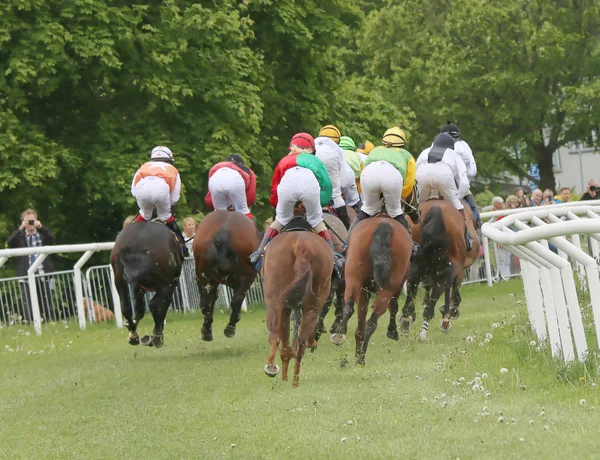 Widok z tyłu koni wyścigowych w krzywej — Zdjęcie stockowe