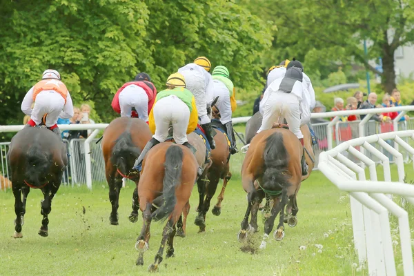 Vista trasera de los caballos de carreras en una curva —  Fotos de Stock