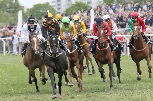 Carrera dura entre los caballos de carreras y los jinetes —  Fotos de Stock
