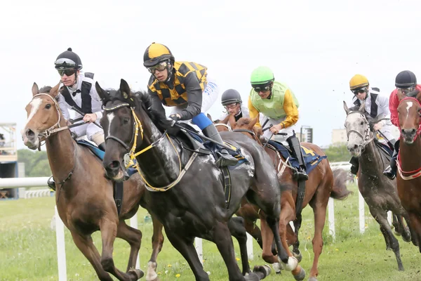 Resistente carrera entre los caballos de carreras — Foto de Stock