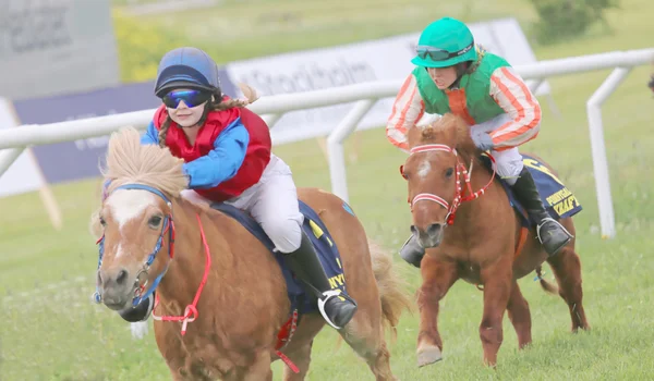 Resistente carrera entre dos caballos de carreras de pony — Foto de Stock