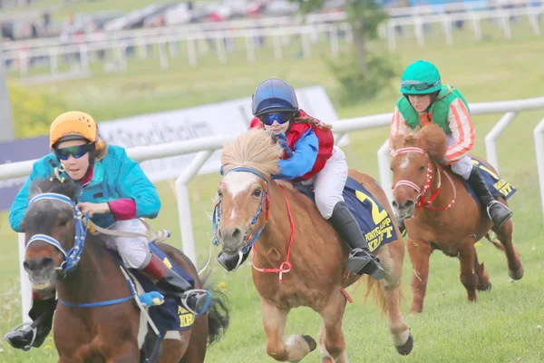 Resistente carrera entre tres caballos de carreras de pony — Foto de Stock