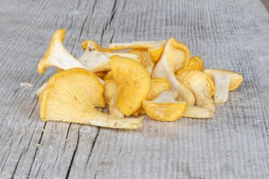 Chantarelles temizlenmiş grup