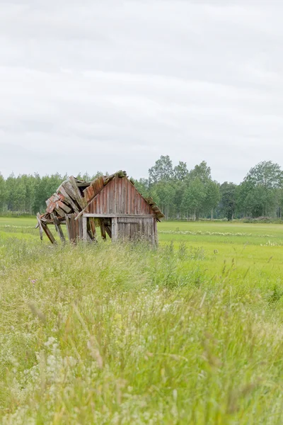 Förfallna lada på ett fält — Stockfoto