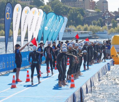 The woman swimmers warming up before the start