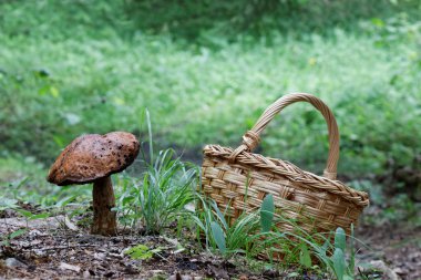 Büyük mantar ve mantar sepeti