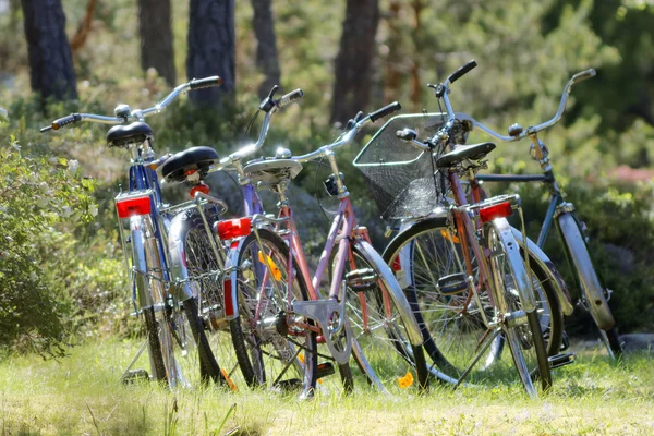 Molte biciclette parcheggiate nella foresta — Foto Stock