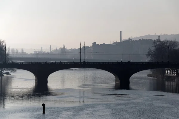 霧の朝と男、鬣はプラハを橋します。 — ストック写真