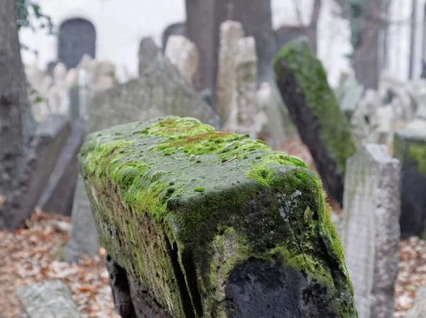 Antiguo cementerio judío, Praga —  Fotos de Stock