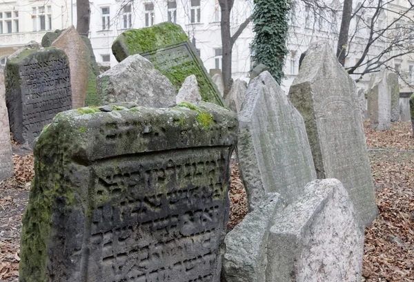 Starý židovský hřbitov, Praha — Stock fotografie
