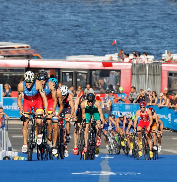 Stockholm Sweden Aug 2015 Spanish Triathlon Competitors Javier Gomez Noya — Stock Photo, Image