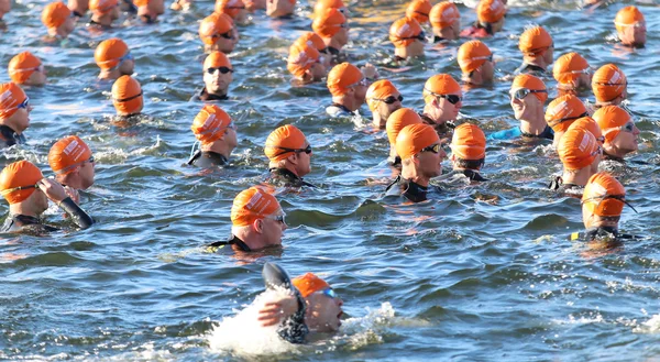 Primer plano del grupo de nadadores masculinos con gorras de baño naranjas —  Fotos de Stock