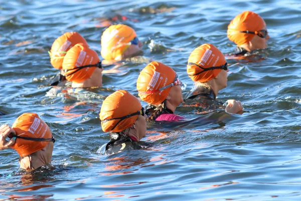 Grupp av triathleter bär orange badmössor i vattnet — Stockfoto