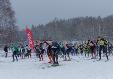 Stockholm - 24 Ocak 2016: Stockholm Kayak Maratonu etkinliğinde renkli kros kayakçıları ile savaşan büyük bir grubun yan görünümü 24 Ocak 2016'da Stockholm, İsveç