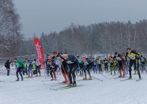 Stockholm Ocak 2016 Stockholm Kayak Maratonu Etkinliğinde Renkli Kros Kayakçıları — Stok fotoğraf