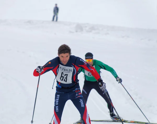 Stockholm Ene 2016 Dos Hombres Esquí Fondo Corriendo Una Pista — Foto de Stock