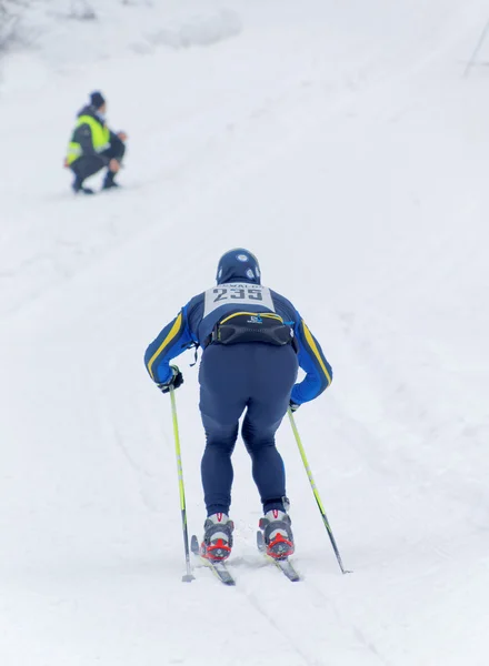 Вид сзади на лыжника в синем — стоковое фото