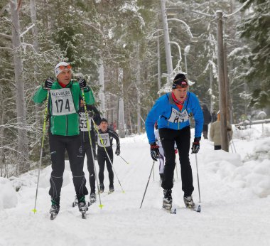 STOCKHOLM - JAN 24, 2016: Two lines of  cross country skiing men in the forest at the Stockholm Ski Marathon event January 24, 2016 in Stockholm, Sweden