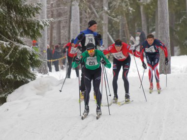 Stockholm - 24 Ocak 2016: Grup odaklı çapraz ülke Kayak adam Stokholm İsveç'in Stockholm Kayak Maratonu olay 24 Ocak 2016 ormandaki