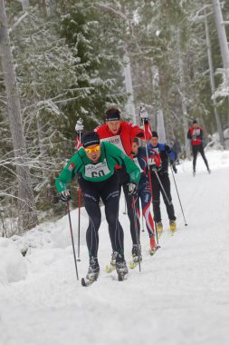 Stockholm - 24 Ocak 2016: Grup odaklı çapraz ülke Kayak adam Stokholm İsveç'in Stockholm Kayak Maratonu olay 24 Ocak 2016 ormandaki