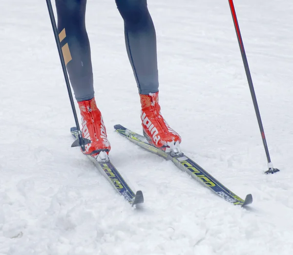 Stockholm Jan 2016 Close Colorful Skies Feet Legs Cross Country — 스톡 사진