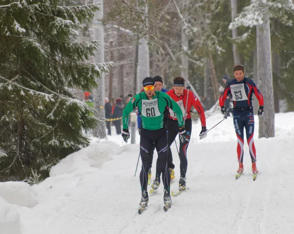 Csoport koncentrált cross country síelés férfiak az erdő — Stock Fotó