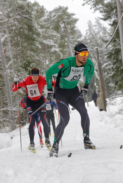 Csoport koncentrált cross country síelés férfiak az erdő — Stock Fotó