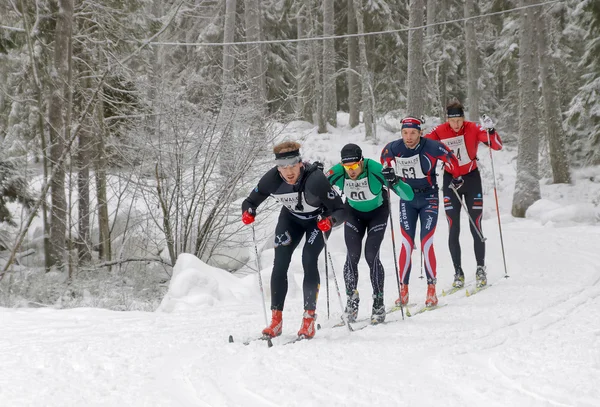 Grup cross country kayak güzel spru erkeklerde mücadele — Stok fotoğraf