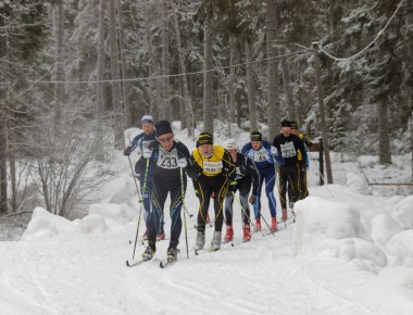 Cross country kayak erkekler güzel çam ormanı içinde grup