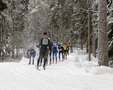 Cross country kayak erkekler güzel çam ormanı içinde grup