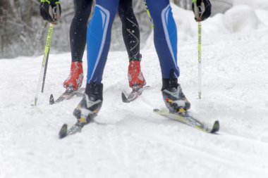 STOCKHOLM - JAN 24, 2016: Legs and skies during a cross country skiing event at the Stockholm Ski Marathon event January 24, 2016 in Stockholm, Sweden