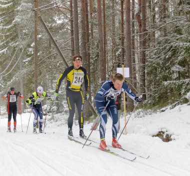 Güzel çam ormanında kros kayağı erkekler grubu