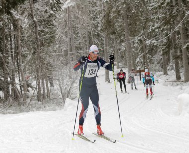 Güzel ladin ormanda odaklanmış kros kayak adam