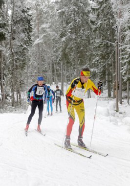 Cross country kayak erkekler güzel çam ormanı içinde grup